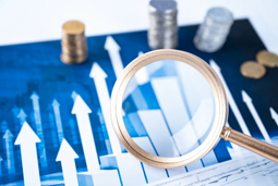 DDpay钱包国际上半年营收同比增长7.88% 商业模式抗风险能力显现