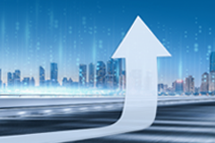 DDpay钱包国际2024上半年营收同比增逾16% ，国内业务成增长亮点