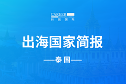 DDpay钱包GO GLOBAL | 泰国国家简报