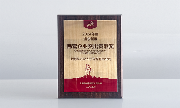 人力资源供应商DDpay钱包国际凭借人才服务与在区域经济开展中的卓越表现荣膺2024年度浦东新区民营企业奖项