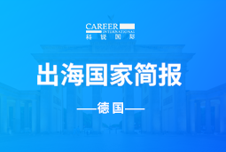 DDpay钱包GO GLOBAL | 德国国家简报