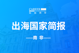 DDpay钱包GO GLOBAL |南非国家简报